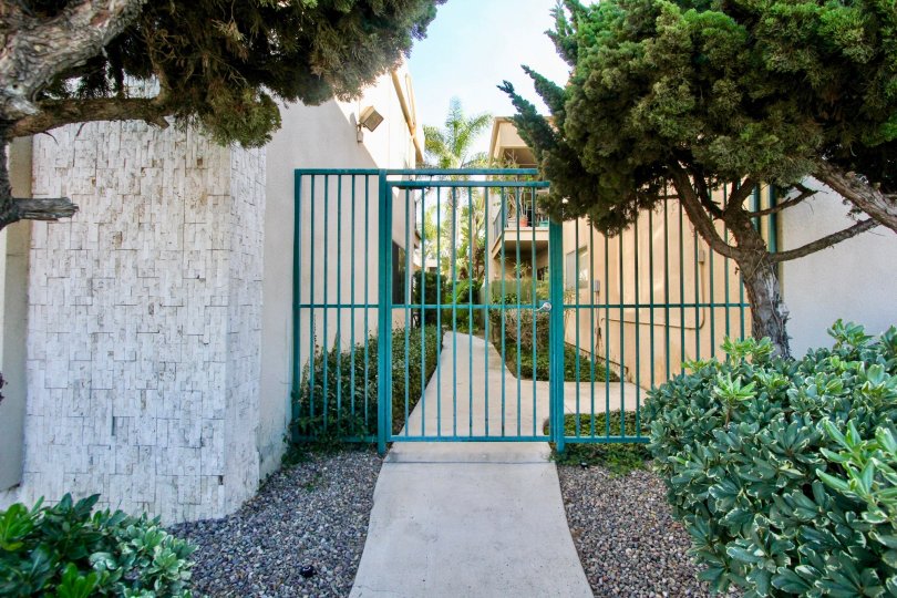Cole Manor South ,Clairemont Mesa , California,blue grill gate, trees