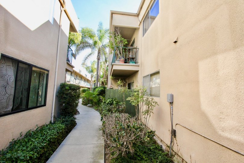 Walkway between two pink residential buildings at Cole Manor South in Clairemont Mesa California