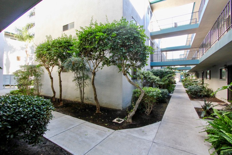 Walkways between housing units at Cole Manor in Clairemont Mesa California