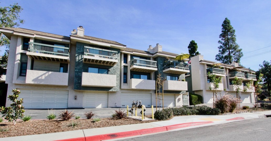 Pacific Racquet Club , Clairemont Mesa  ,: California,blue sky,conical tree