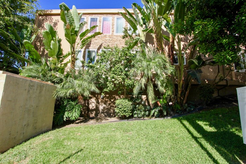 Adelaide Villas, College Area, California having a good landscape with homely plants and greeneries. Its a piece of mind to spend the day with familiy members in the lawn which givea a very fantastic nostalgic feel.