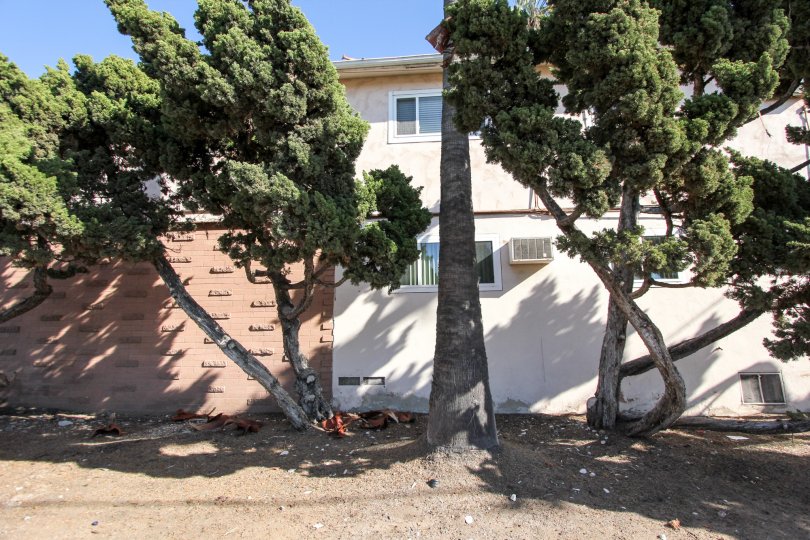 Beautiful College Gardens College Area California