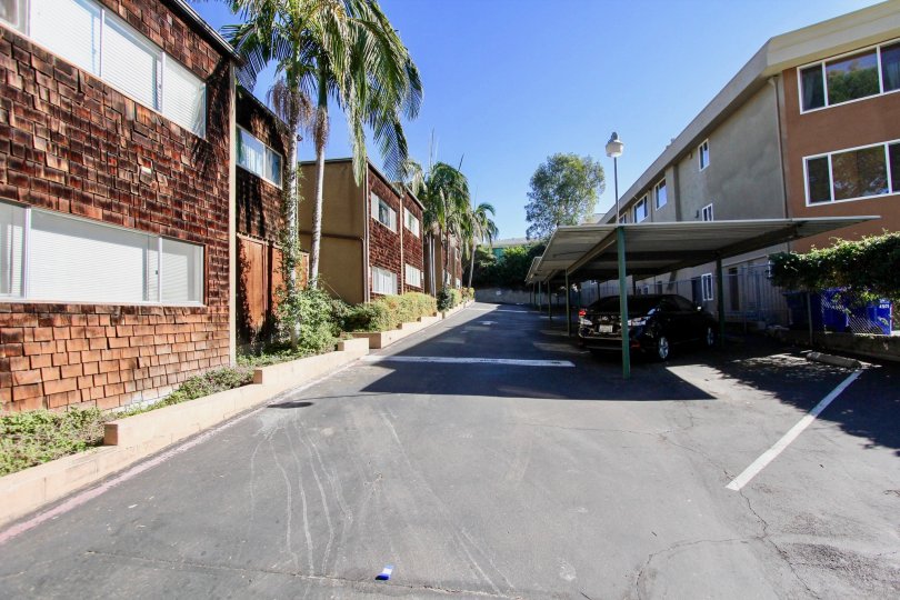 Driveway surrounded by parking area and residential buildings at Collwood Townhomes in College Area CA
