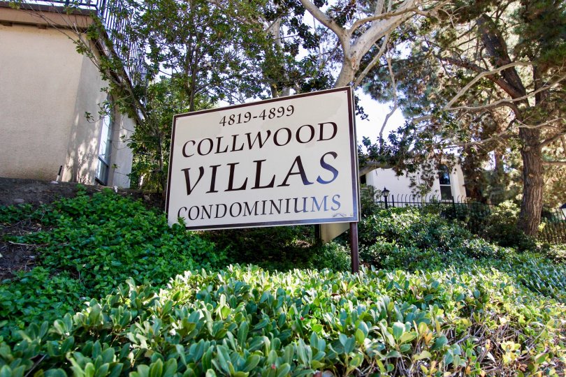 The Collwood Villas condominiums sign stands in the sun on a landscaped hillside in College Area, California.
