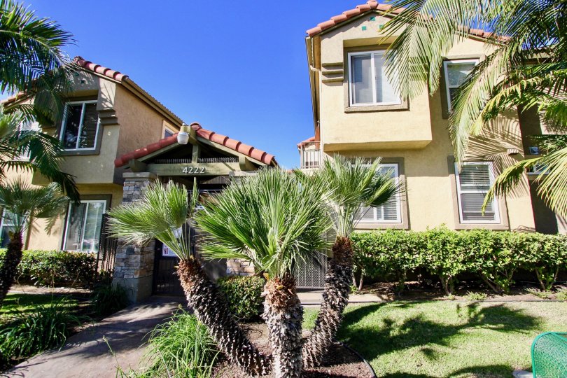Modern California Community of Luscious Tropical Green Menlo Village