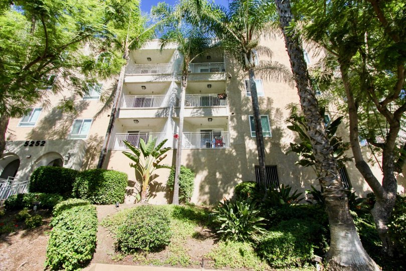 a sunny day in the parkridge with a three story building that has tall tree in front of it
