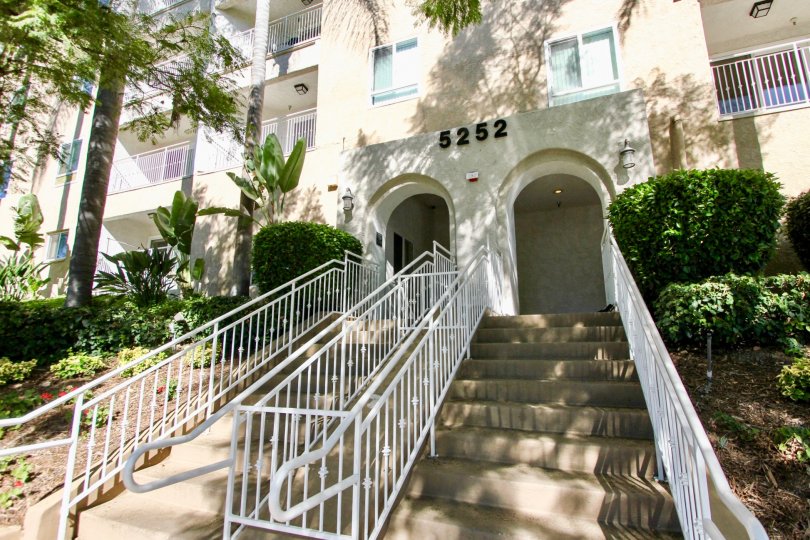 The college with many rooms and students of college area