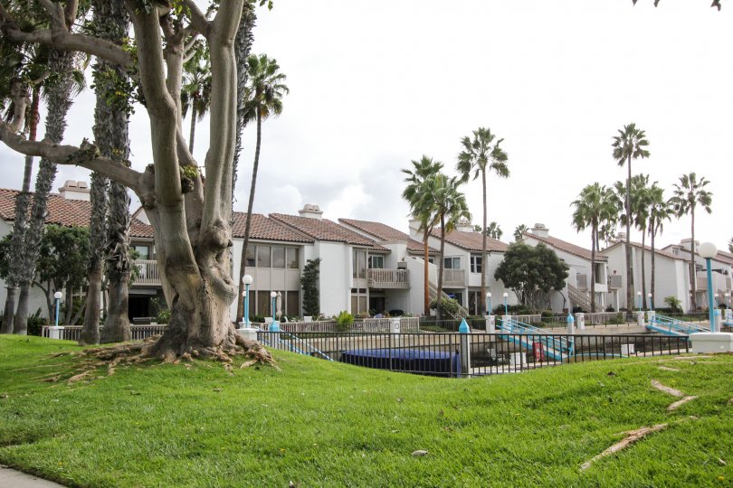 Lawn, palm trees and homes in Coronado Cays, Coronado CA