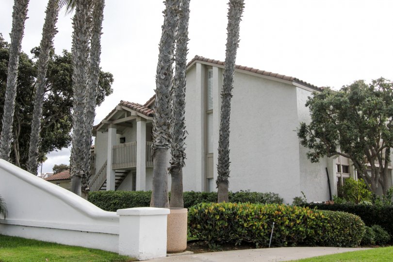 nice and most attractive house with beautiful lawn clean way looking every where greeneryvisit with family in weeken