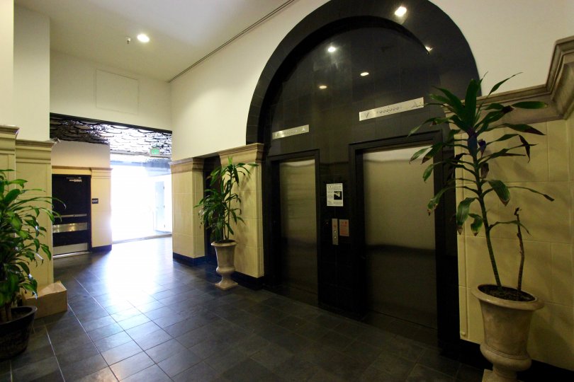 The potted plants inside of Samuel Fox Lofts
