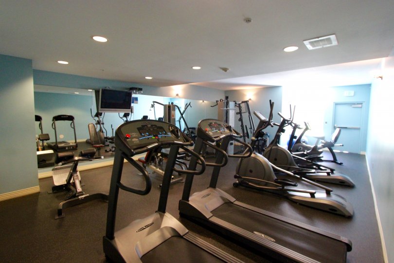 A work out gym complete with multiple types of Aerobics machines and a TV.