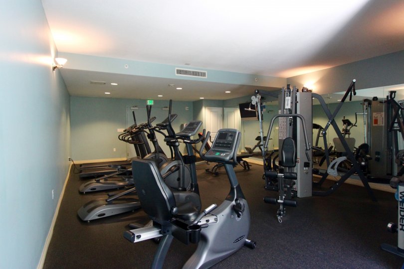 The fitness room with weights and cardio equipment at Alicante.