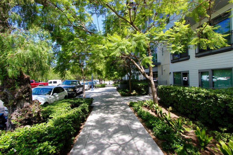 A sidewalk view of Aloft with green trees and bushes in downtown San Diego, California
