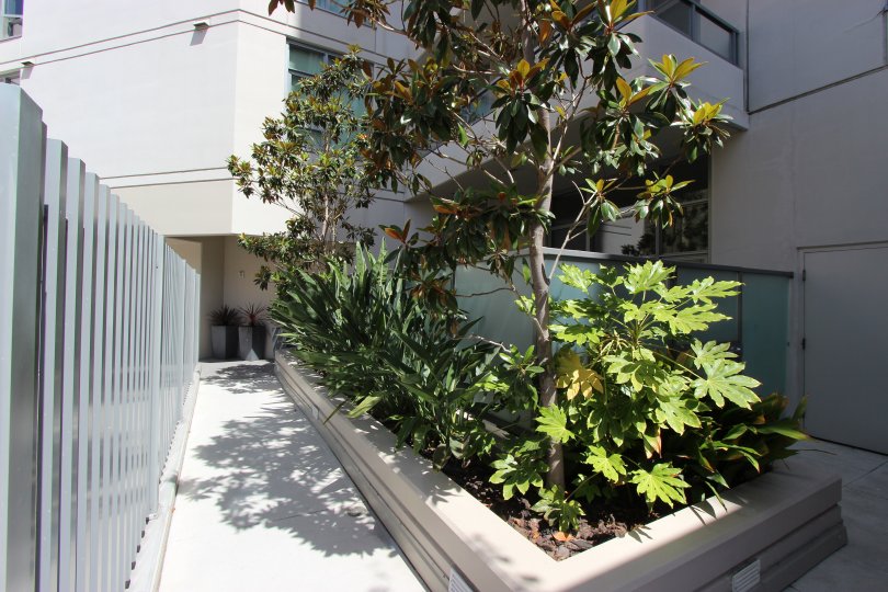 A corridor in the Aria community in Downtown San Diego CA.