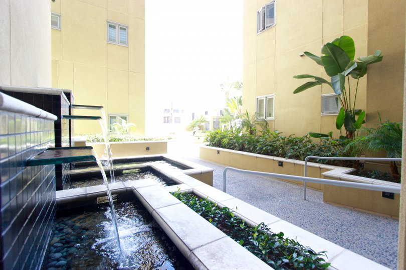 Fountains and beautiful landscaping adorn the walkway at Element.
