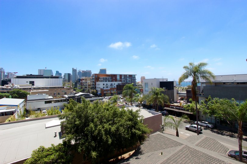 A sunny day in Hawthorn Place with some trees and road