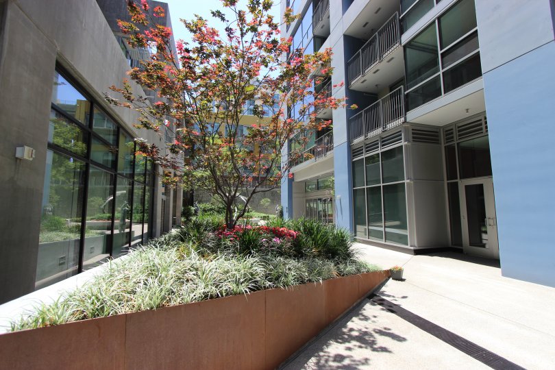 Relaxing garden courtyard in Icon, located in San Diego, CA