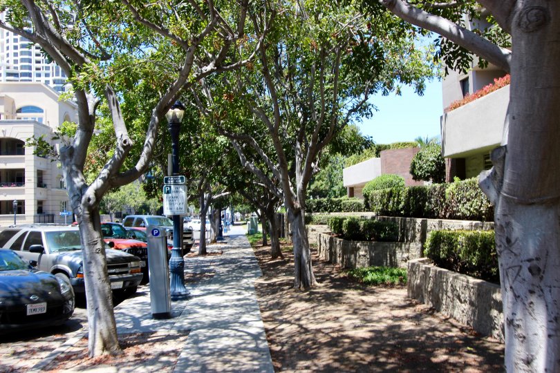 Sodewalk with trees and 2 tiered landscap and street parking Marina Park Downtown San Diego California