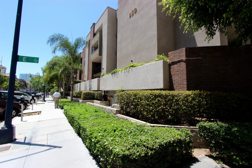 A view on a street in Marina Park, green bushes and a building