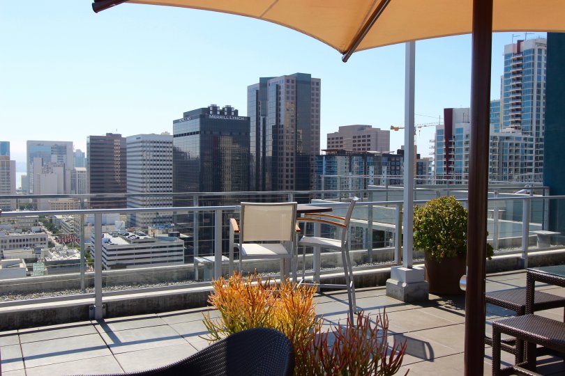 Spiky yellow and green plants sit on a rooftop terrace at the Smart Corner condos