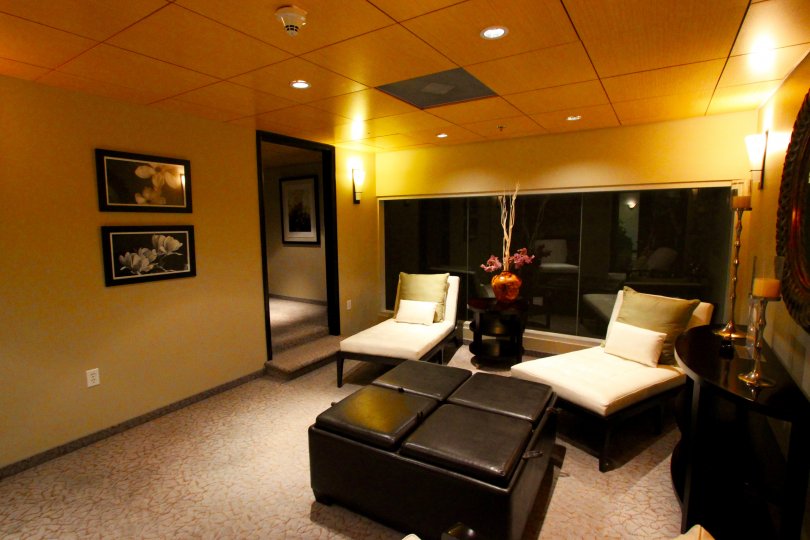 Hall decorated in gold color paint with sofa, furniture and photo frames in the building in Solara Lofts