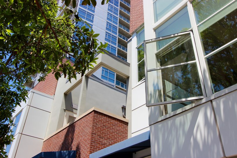 An open window overlooking a tree at The Mark in downtown San Diego, CA