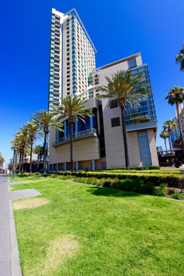 A warm and sunny day with the street view showcasing the modern architecture of the massive building of The Metropolitan with Palm tree lined streets