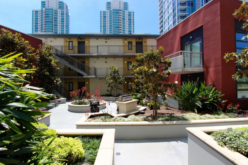 Courtyard at TREO with trees and skyline in the background in Downtown San Diego, California
