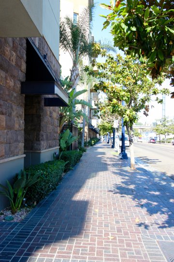 Tops of trees beside a large building in Union Square, Downtown San Diego, California.