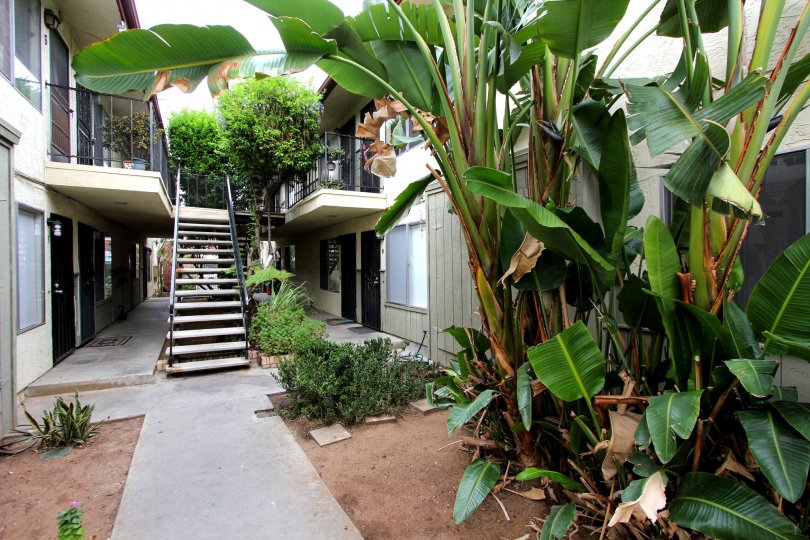 A WONDERFUL HOME COVERED WITH BEAUTIFUL TREES AND BANANA TREES