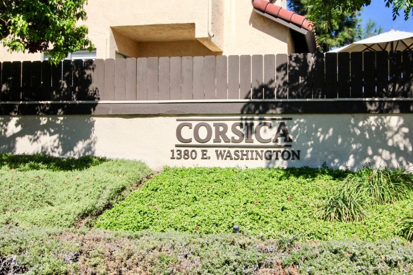 Blue skies and beautiful greenery welcoming one to the Corsica community