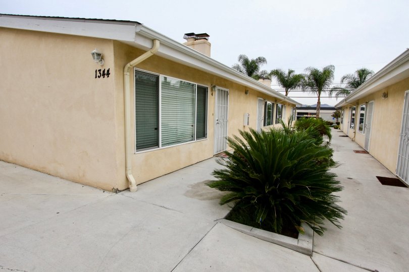 apartments, homes, sidewalk, cement, concrete, plam trees, plants, bushes