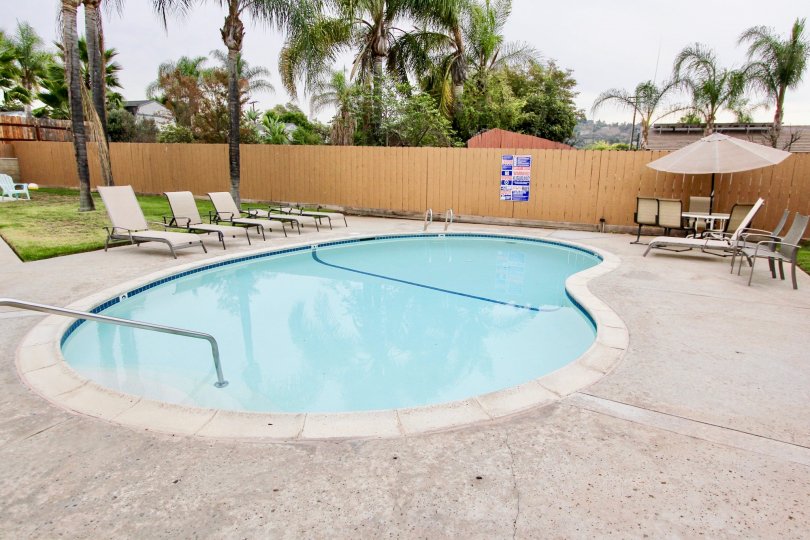 nice and most attractive house with beautiful garden and swimming pool clean way looking every where greeneryvisit with family in weeken