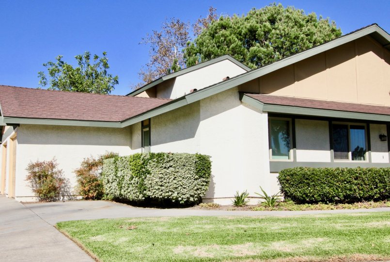 Escondido Hills  , Escondido  , California,blue sky,lawn