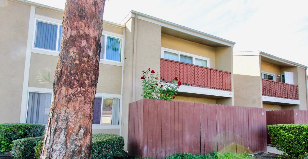 Midway North community Escondido California balcony windows tree shrubbery hedges fence landscaping