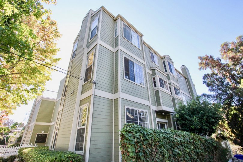 A sunny day in the area of Arbor Village, outside, high rise, condos, windows, trees, wires