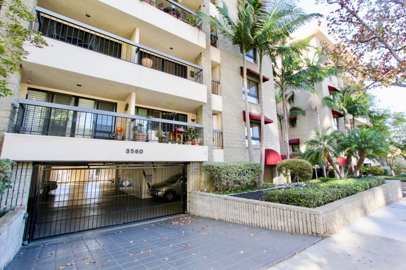 A sunny day in the area of Bankers Hill Towers, outside, condos, highrise, palm trees, balconies