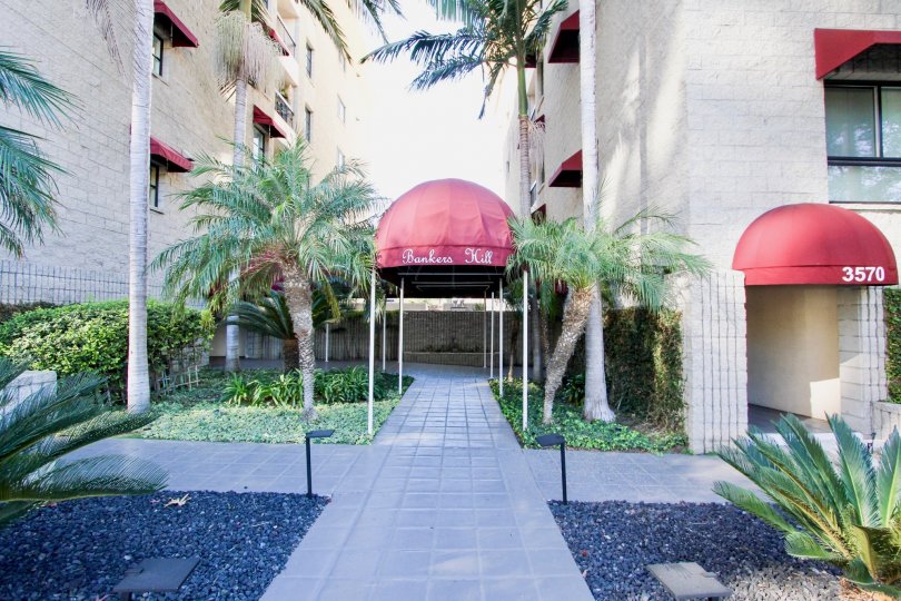 A sunny day in the Bankers Hill Towers City: Hillcrest with apartment and trees.