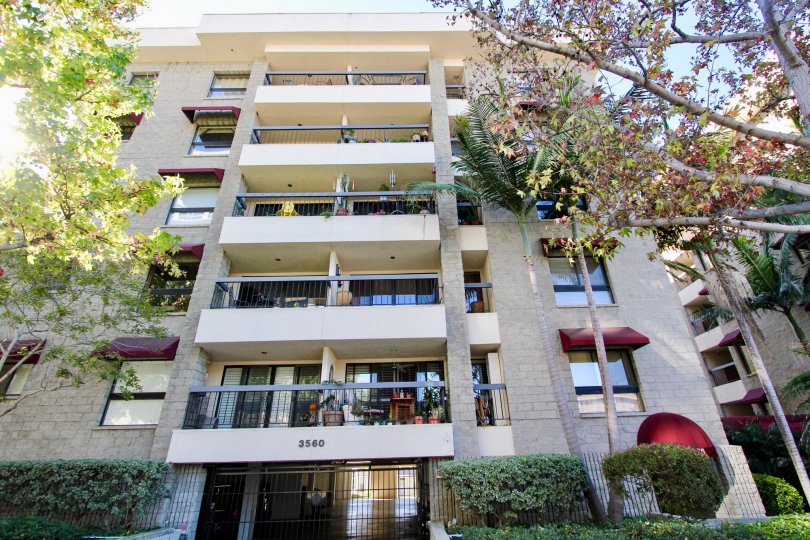 THE 3560 APARTMENT IN THE BANKERS HILL TOWERS WITH THE BALCONIS, TREES, FLOWER POT, PLANTS