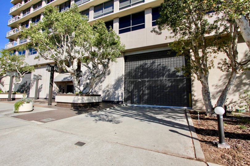 Trees are placed in front of the apartment in Century Plaza Towers