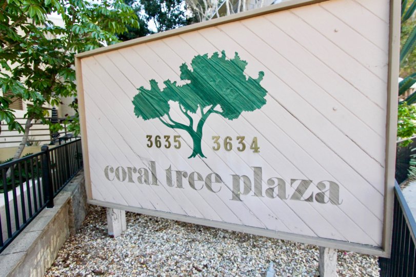 THE 3634, 3635 APARTMENTS IN THE CORAL TREE PLAZA WITH THE CORAL TREE PLAZA BOARD, TREES, PLANTS