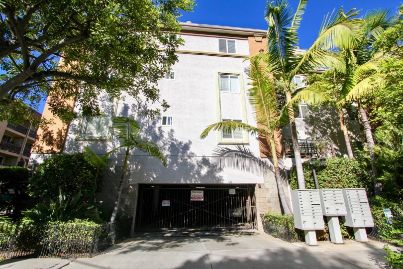 Postal boxes is placed outside the apartment in Essex Place with trees and plants