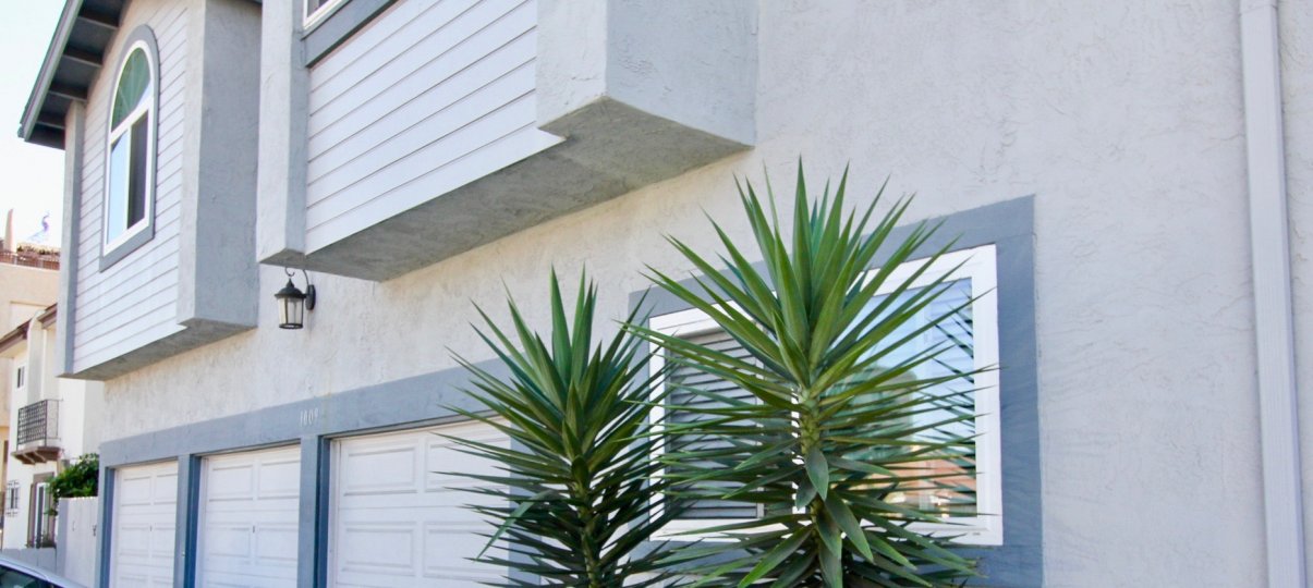 A sunny day in the Forecast II with residential building and plants.