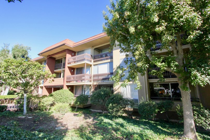 A sunny day in the area of Loma Cresta, wooden fence, outside, balcony, window, tree