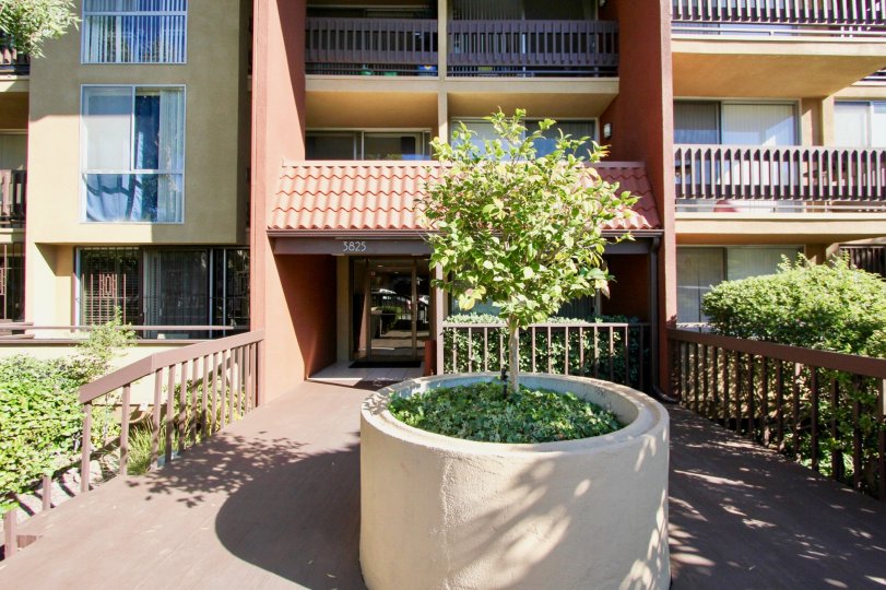 A sunny day in the area of Loma Cresta, wooden fence, outside, balcony, window, sidewalk