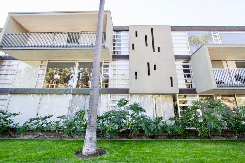 A nice day at the Solomon Building in Hillcrest California with beautiful green grass