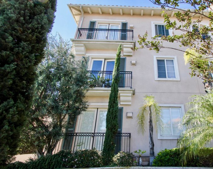 A sunny day in the area of Villa Portofino, outside, palm trees, highrise, balconies