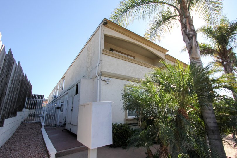 A palm tree in Imperial Palms giving the apartment gorgeous look with bright sunshine.
