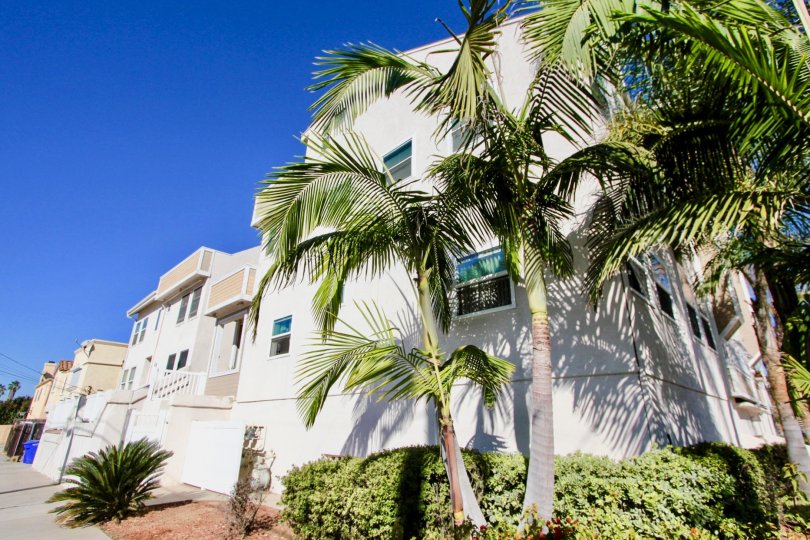 A large building with palm trees that are right in front located in Sandcastle Townhomes.