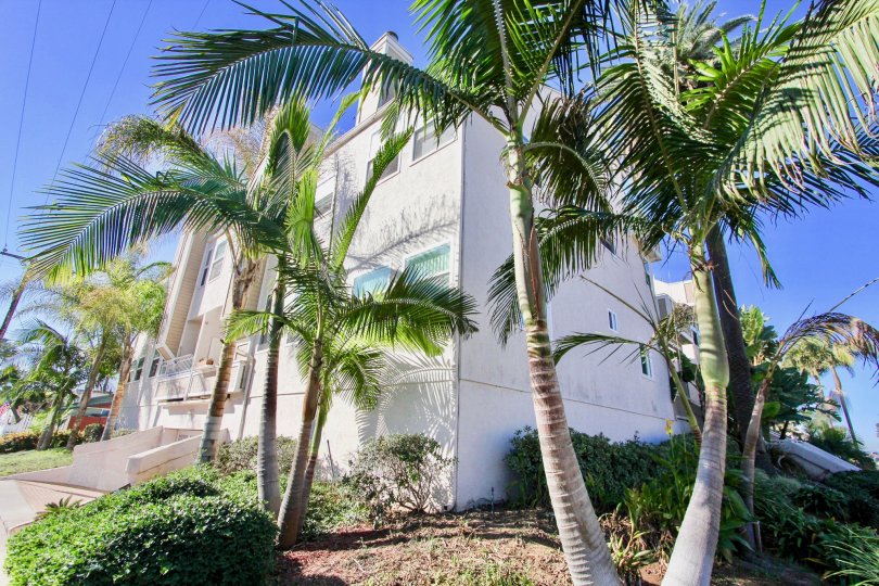 Three story condos near palm trees at Sandcastle Townhomes in Imperial Beach California